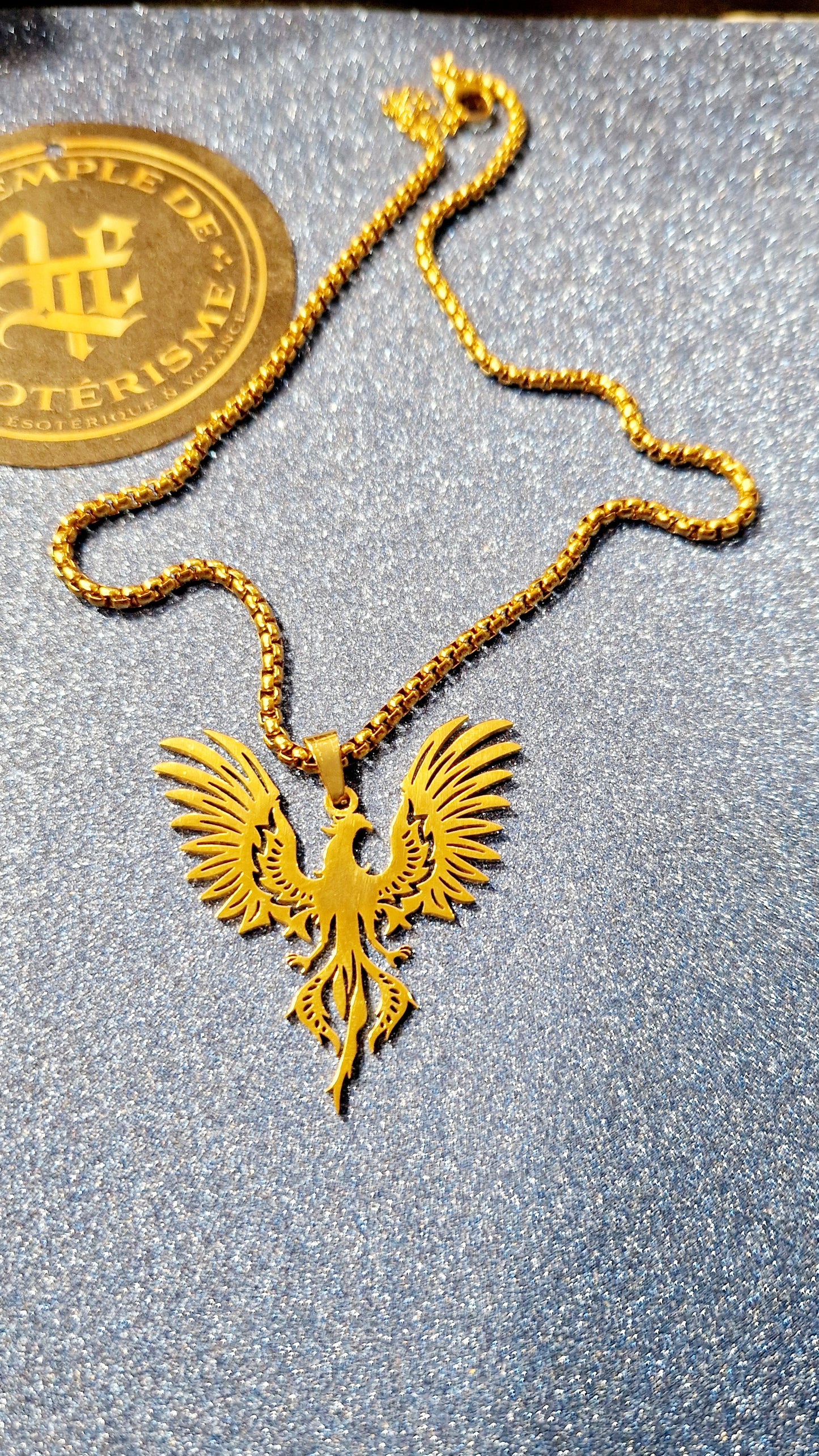 Collier Phénix acier inoxydable chaîne 35 cm