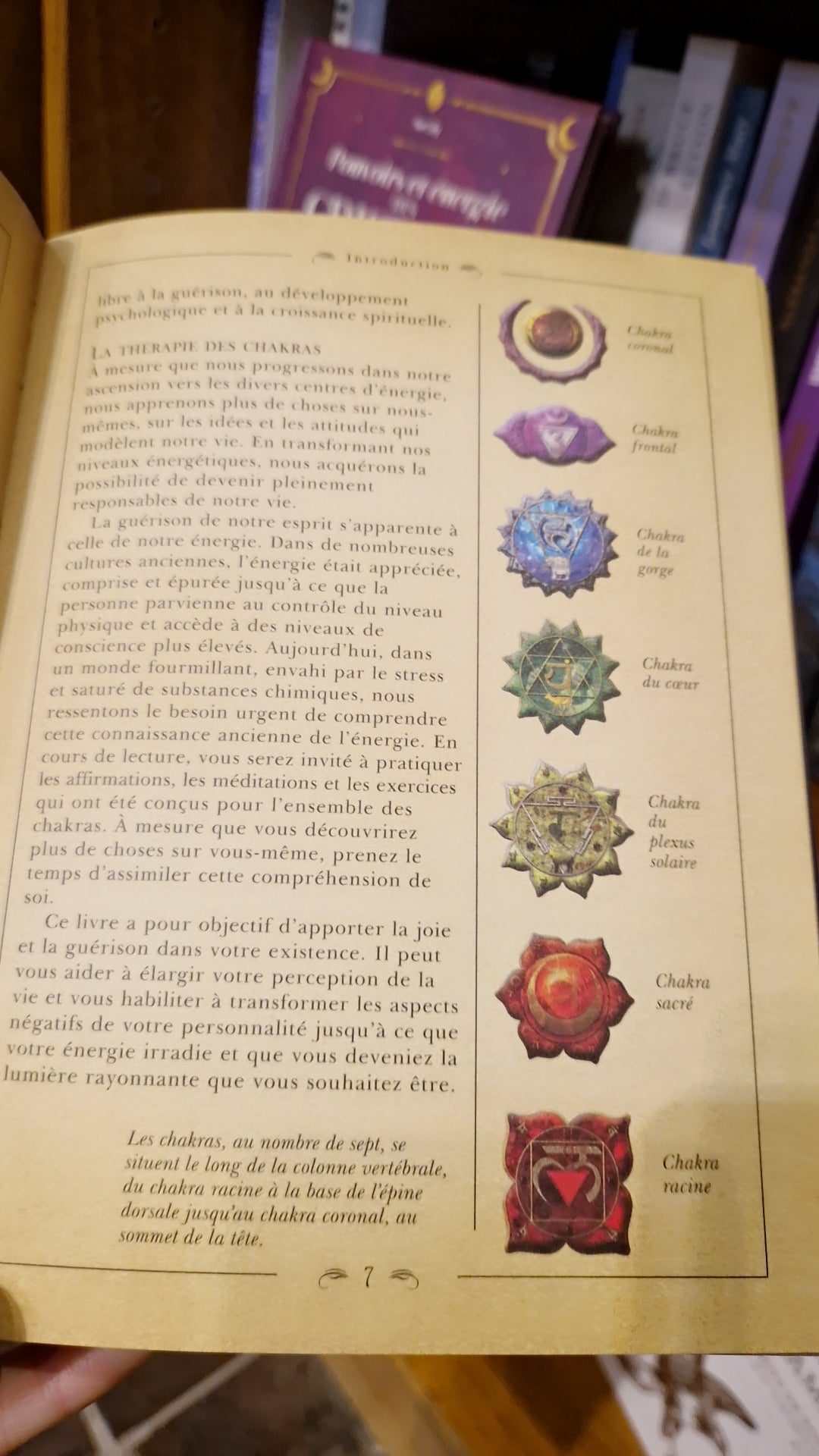 Le petit livre des chakras - Ambika Wauters