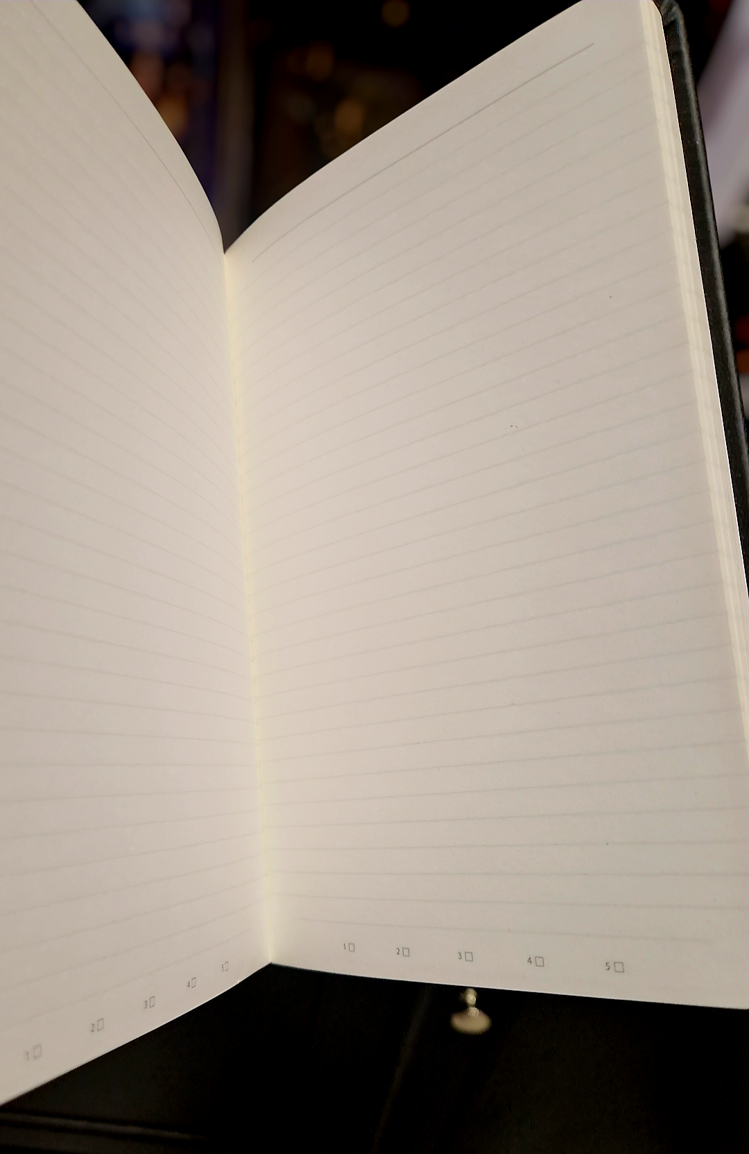 Grimoire Carnet Collector “The Moon” – Édition Anglaise