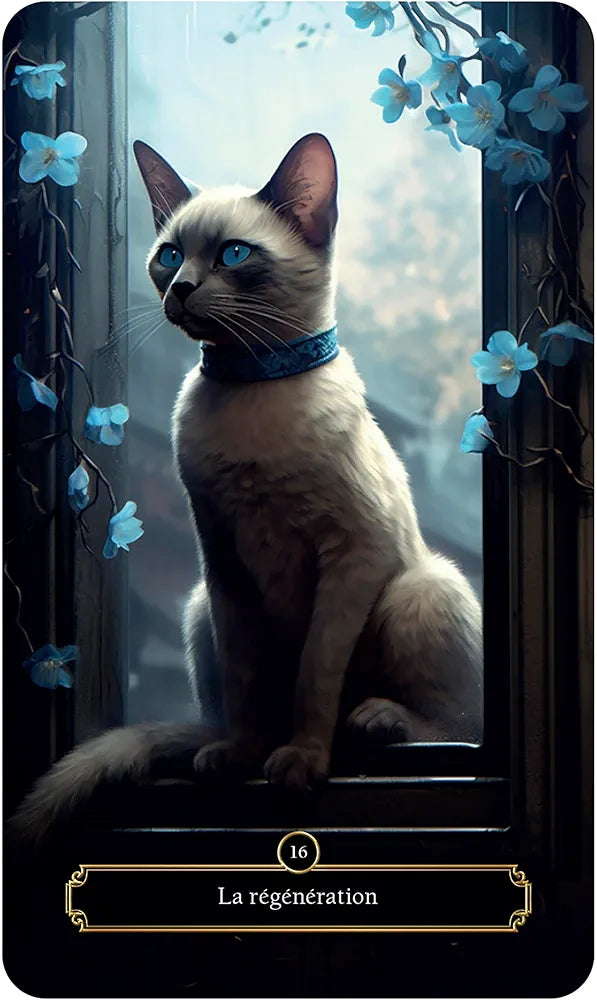 L'oracle des chats mystiques