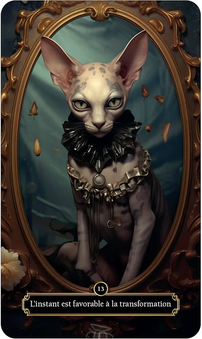 L'oracle des chats mystiques