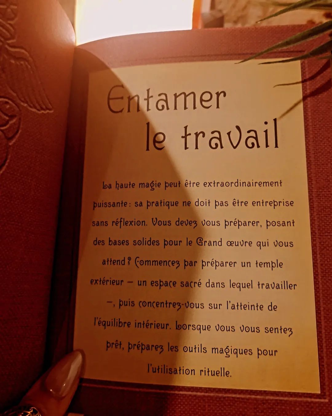 Les secrets de Haute Magie - Francis Melville