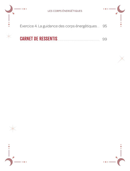 Les corps énergétiques - identifier les champs d’énergies subtiles et comprendre leur fonctionnement Isabelle Cerf
