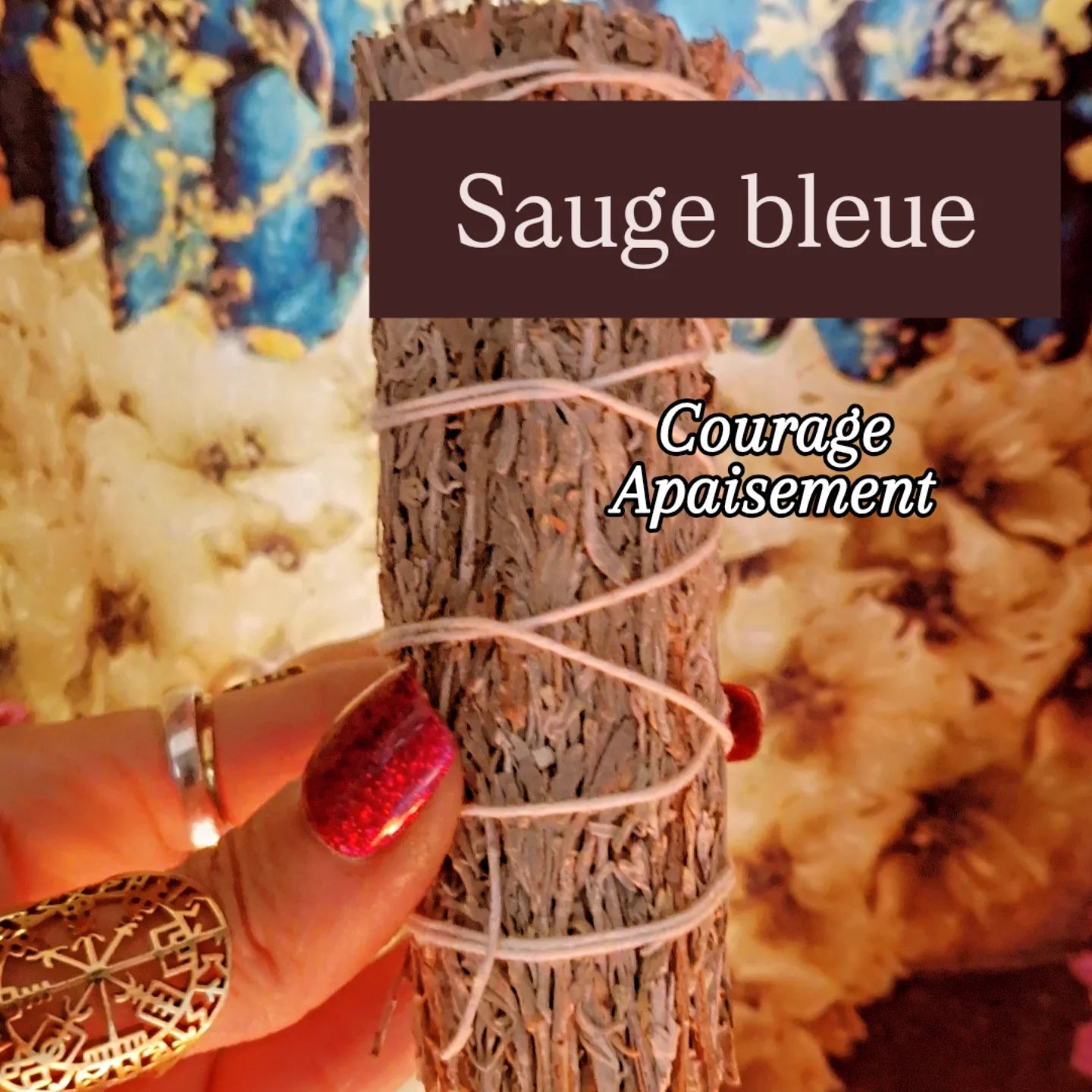 Sauge bleue de Californie - Courage Apaisement
