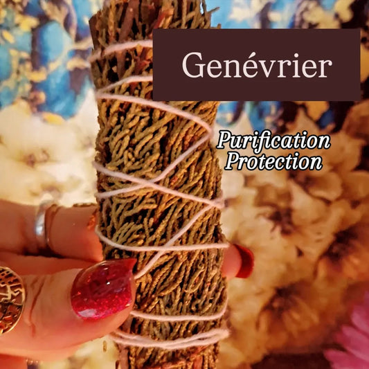 Genévrier - le fagot - Purification & Protection