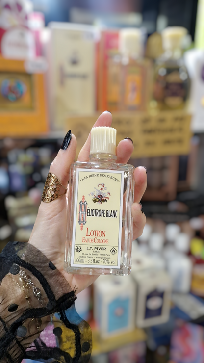 Lotion Héliotrope blanc – 100 ml | Élixir de séduction amour et parfum envoûtant