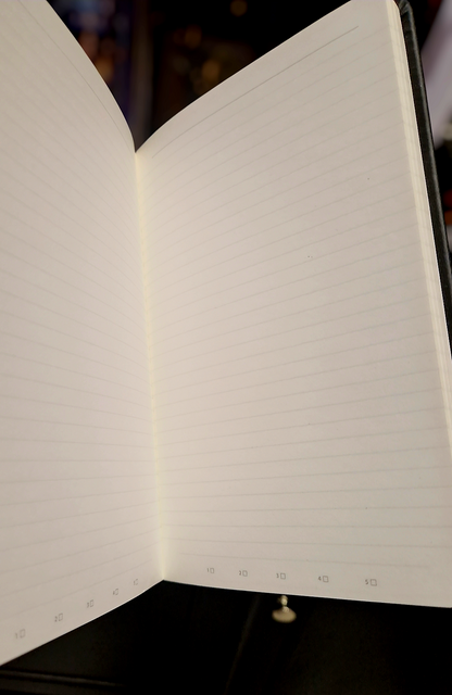 Grimoire Carnet Collector “The Moon” – Édition Anglaise